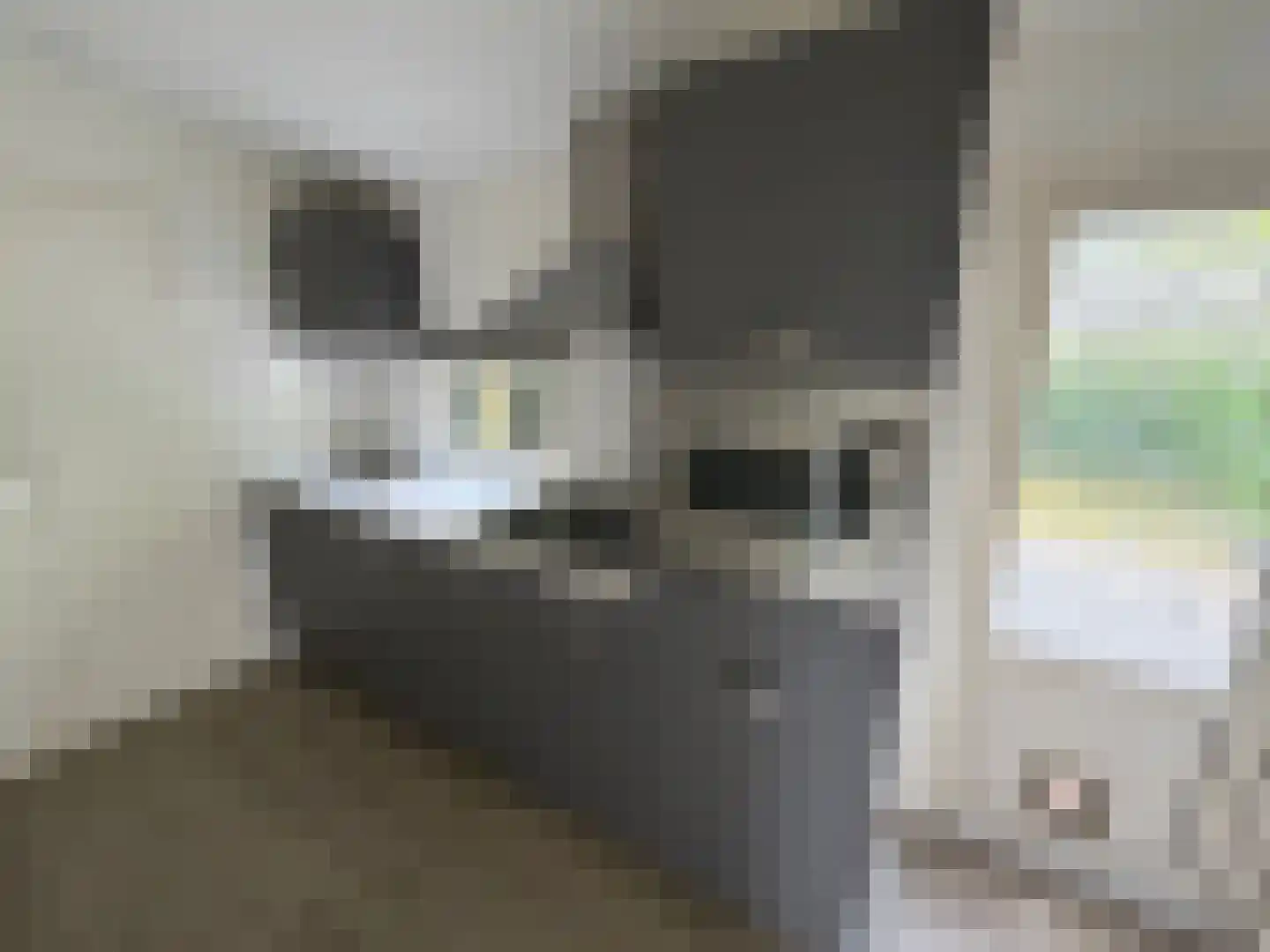 Rivierendal 17 Ochten thumbnail 26