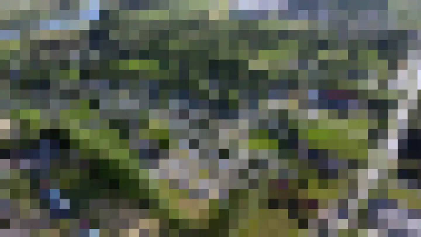 Rivierendal 17 Ochten thumbnail 31