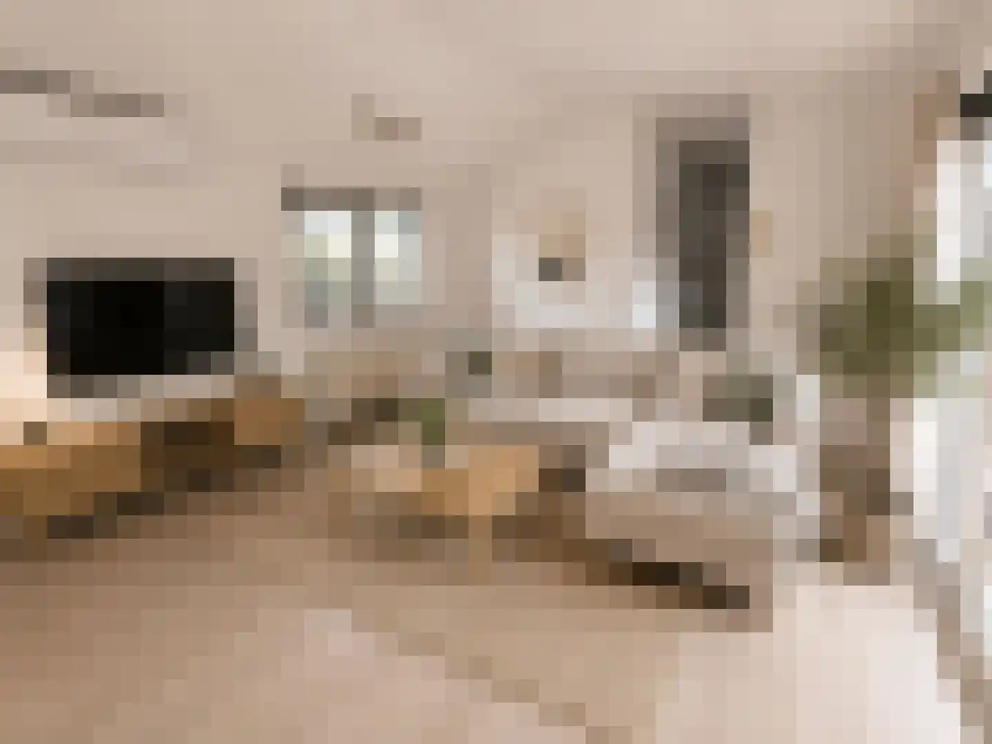 Rivierendal 17 Ochten thumbnail 5