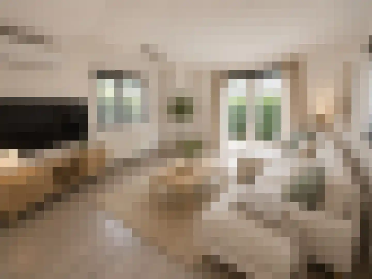 Rivierendal 17 Ochten thumbnail 6