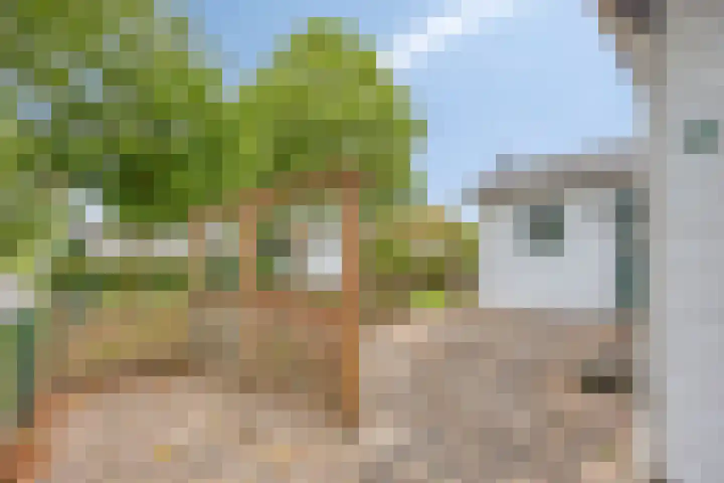 Rivierendal 172 Ochten thumbnail 17