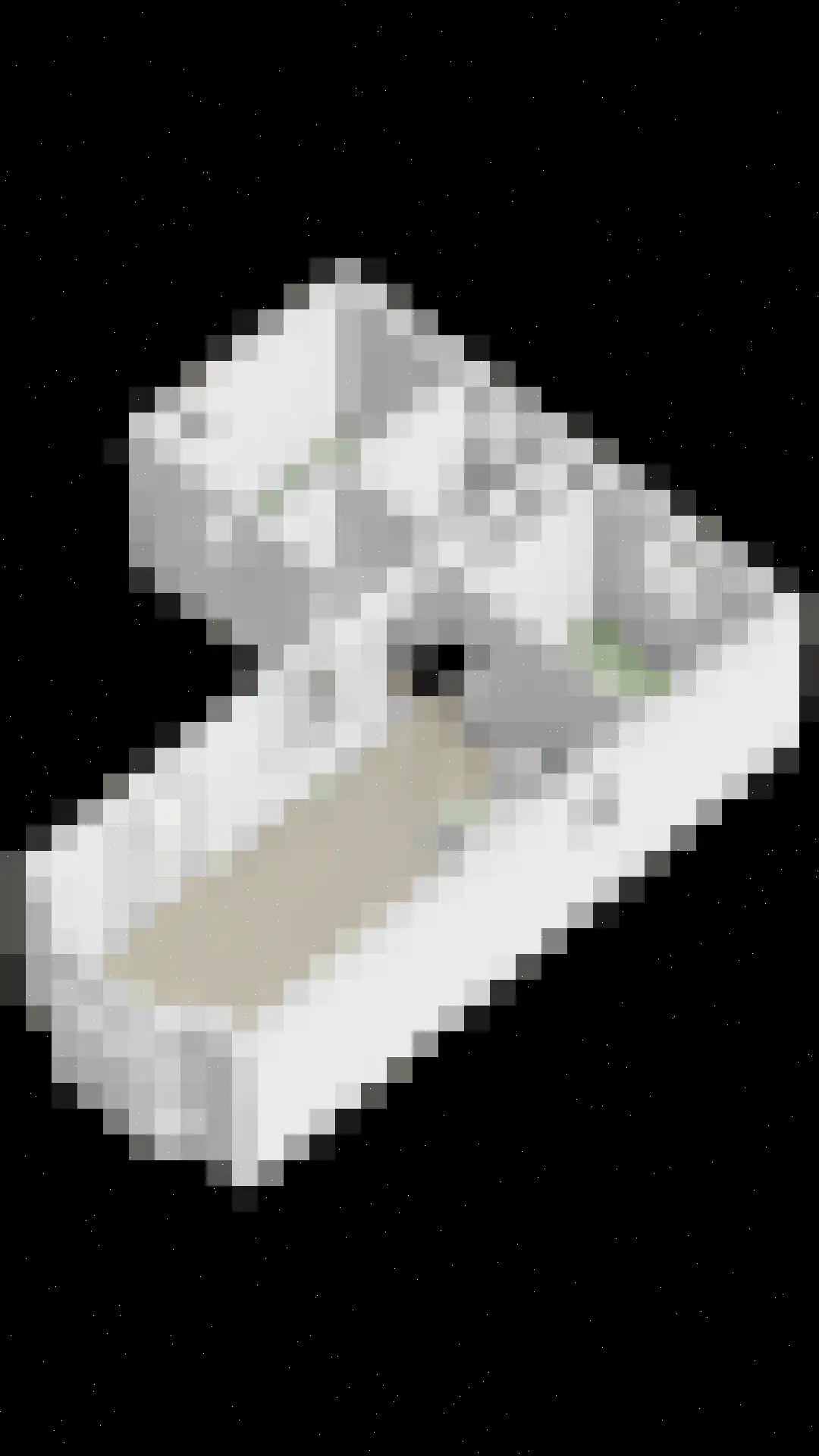 Rivierendal 172 Ochten thumbnail 34