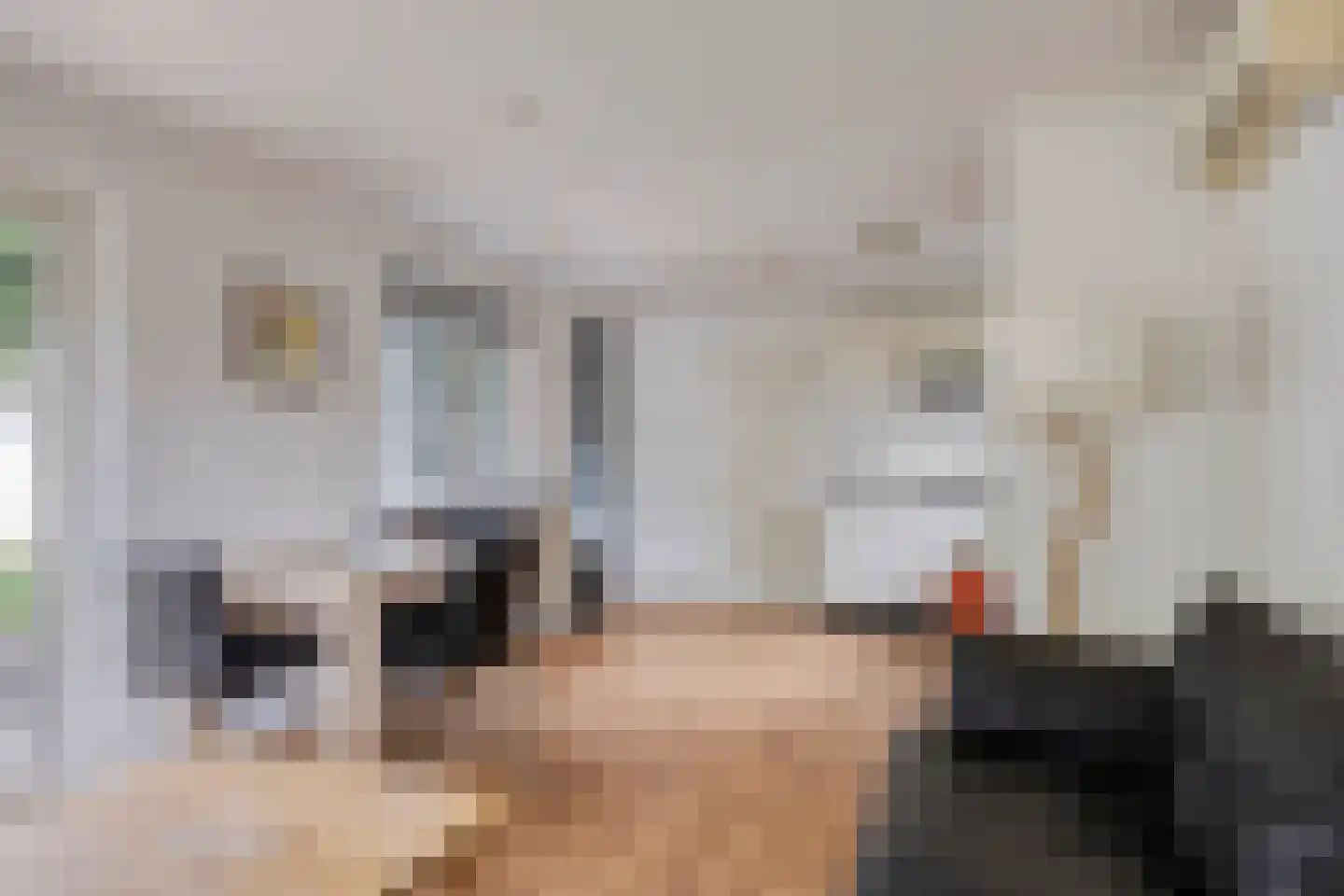 Rivierendal 172 Ochten thumbnail 5