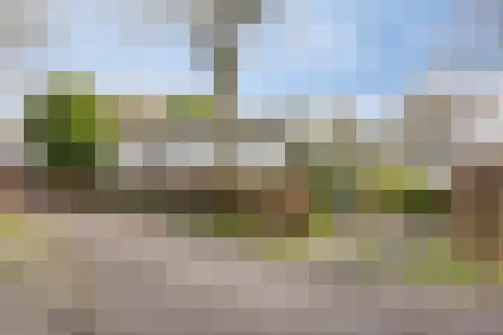 Rivierendal 25 Ochten thumbnail 23