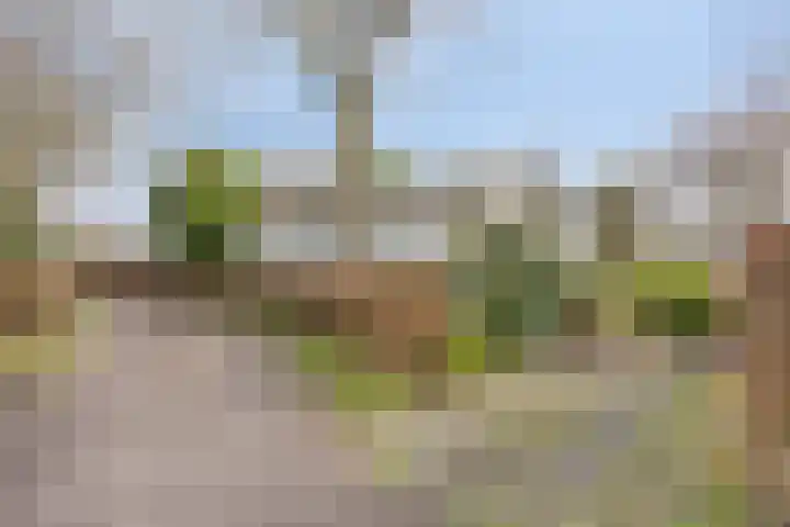 Rivierendal 25 Ochten thumbnail 25