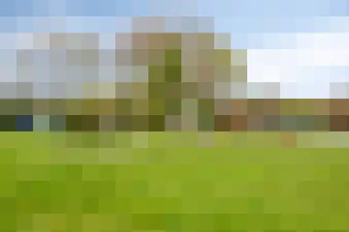 Rivierendal 25 Ochten thumbnail 29