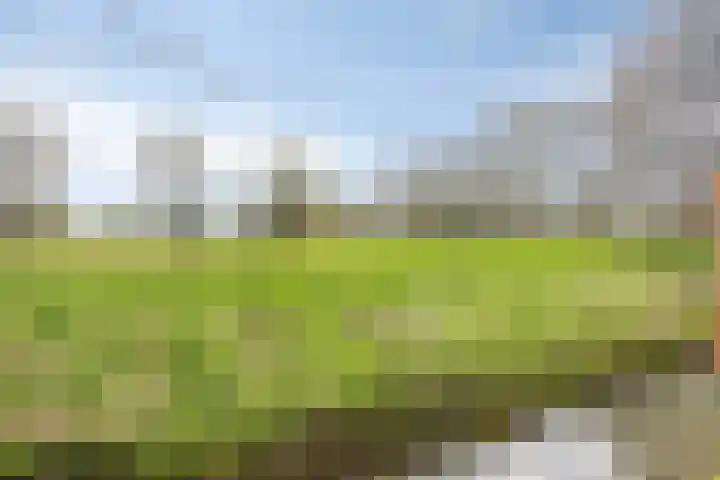 Rivierendal 25 Ochten thumbnail 30