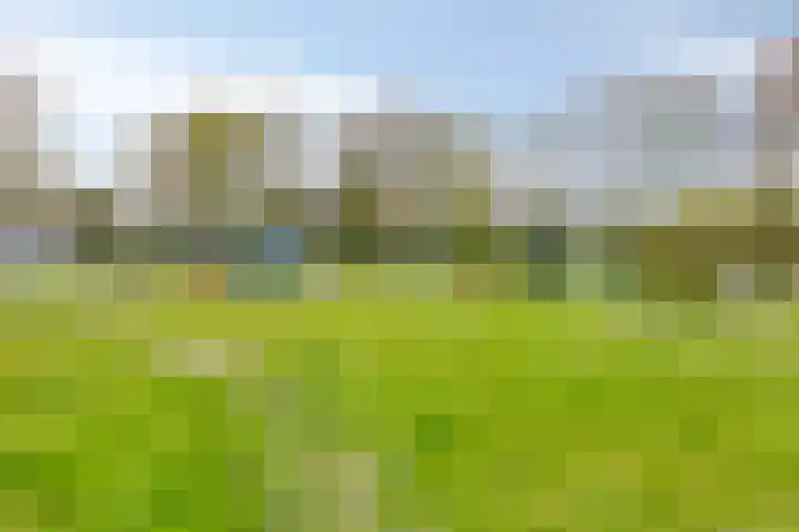 Rivierendal 25 Ochten thumbnail 31