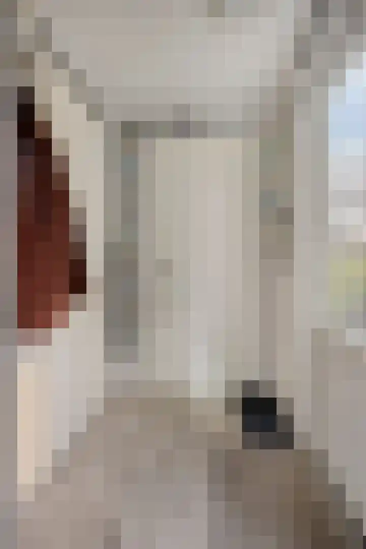 Rivierendal 25 Ochten thumbnail 4