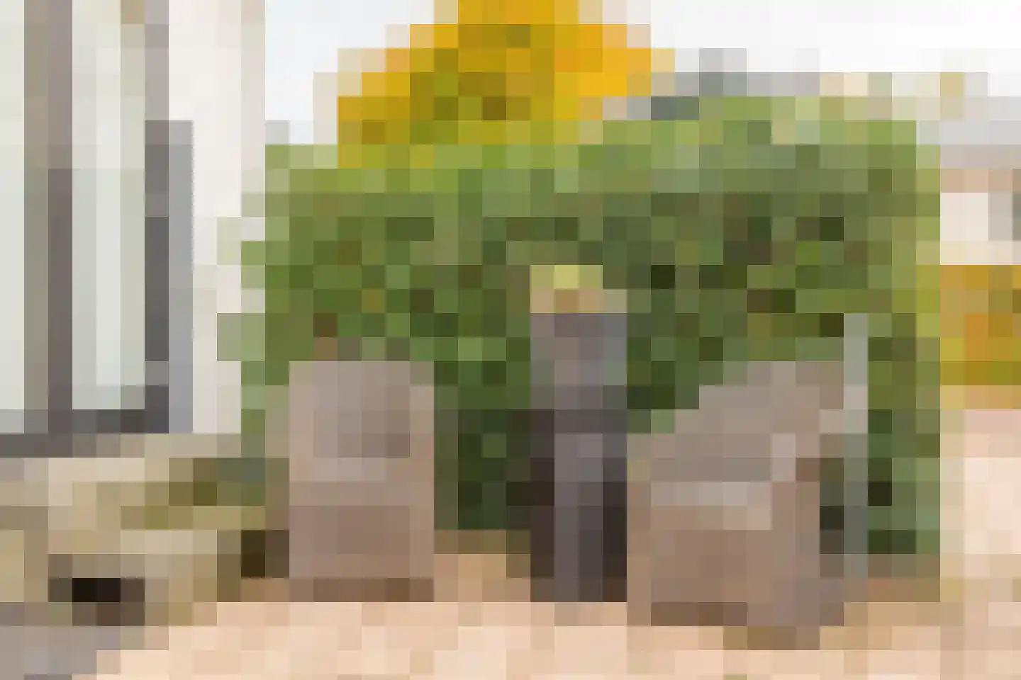 Rivierendal 28 Ochten thumbnail 23