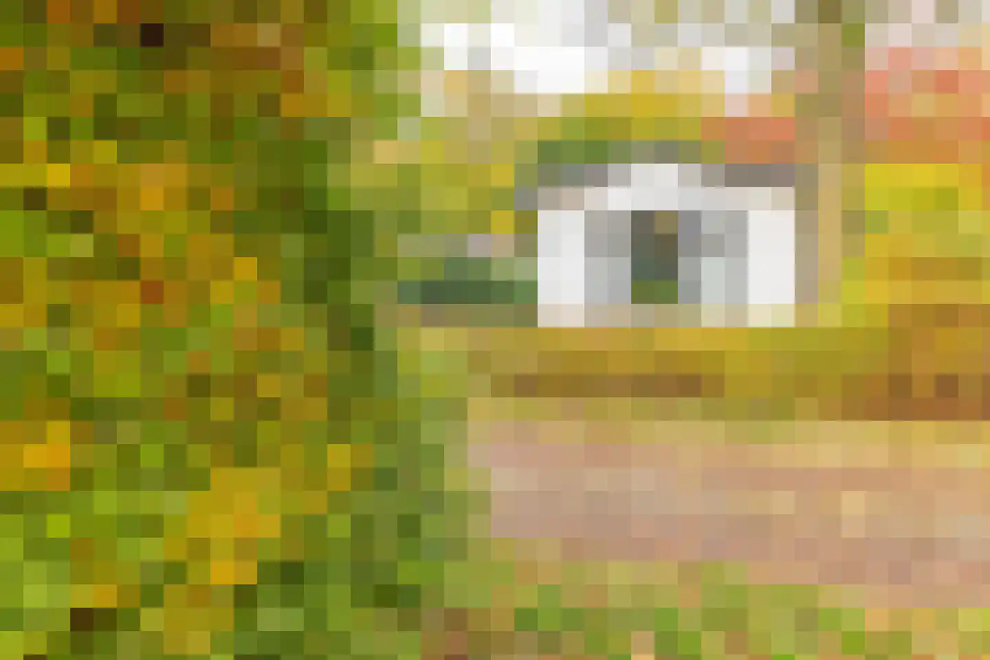 Rivierendal 28 Ochten thumbnail 29