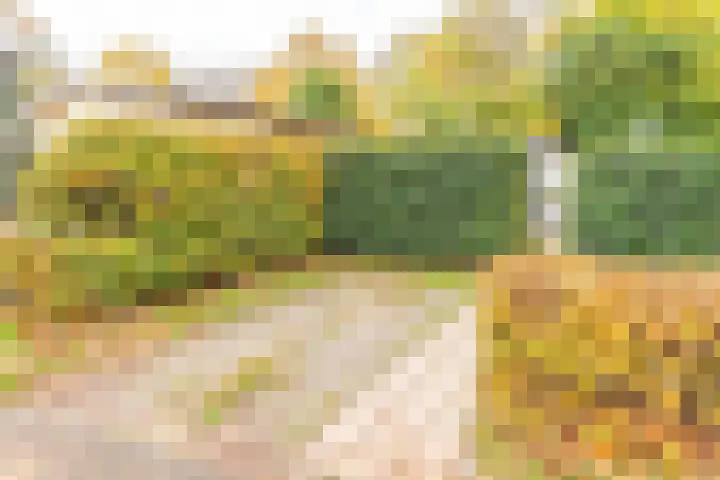 Rivierendal 28 Ochten thumbnail 39
