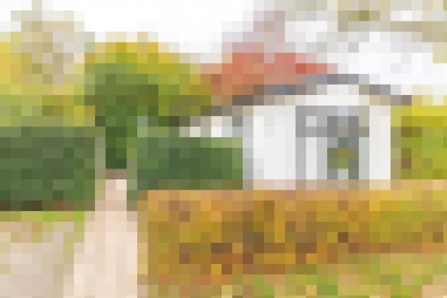 Rivierendal 28 Ochten thumbnail 4