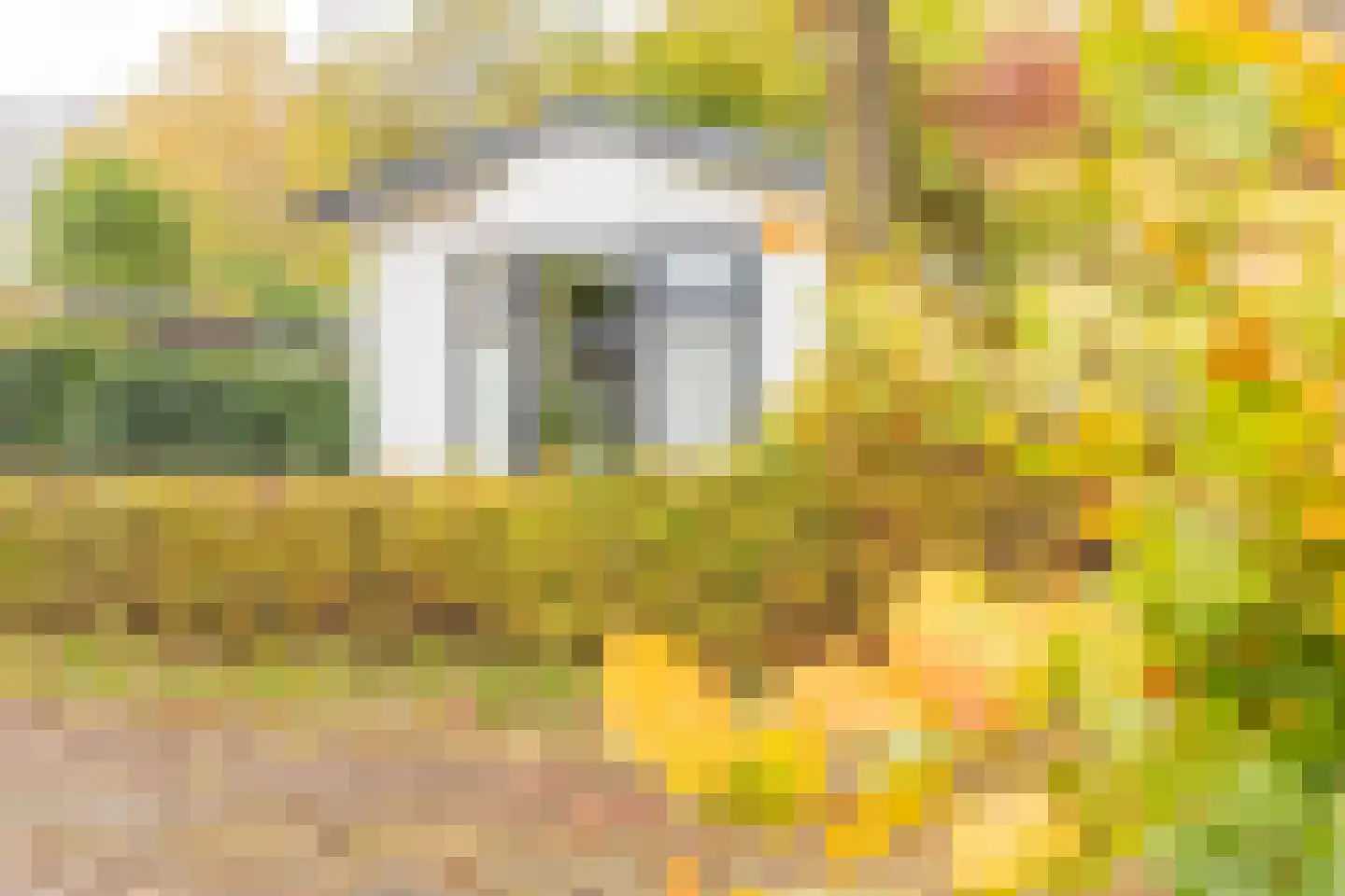 Rivierendal 28 Ochten thumbnail 40