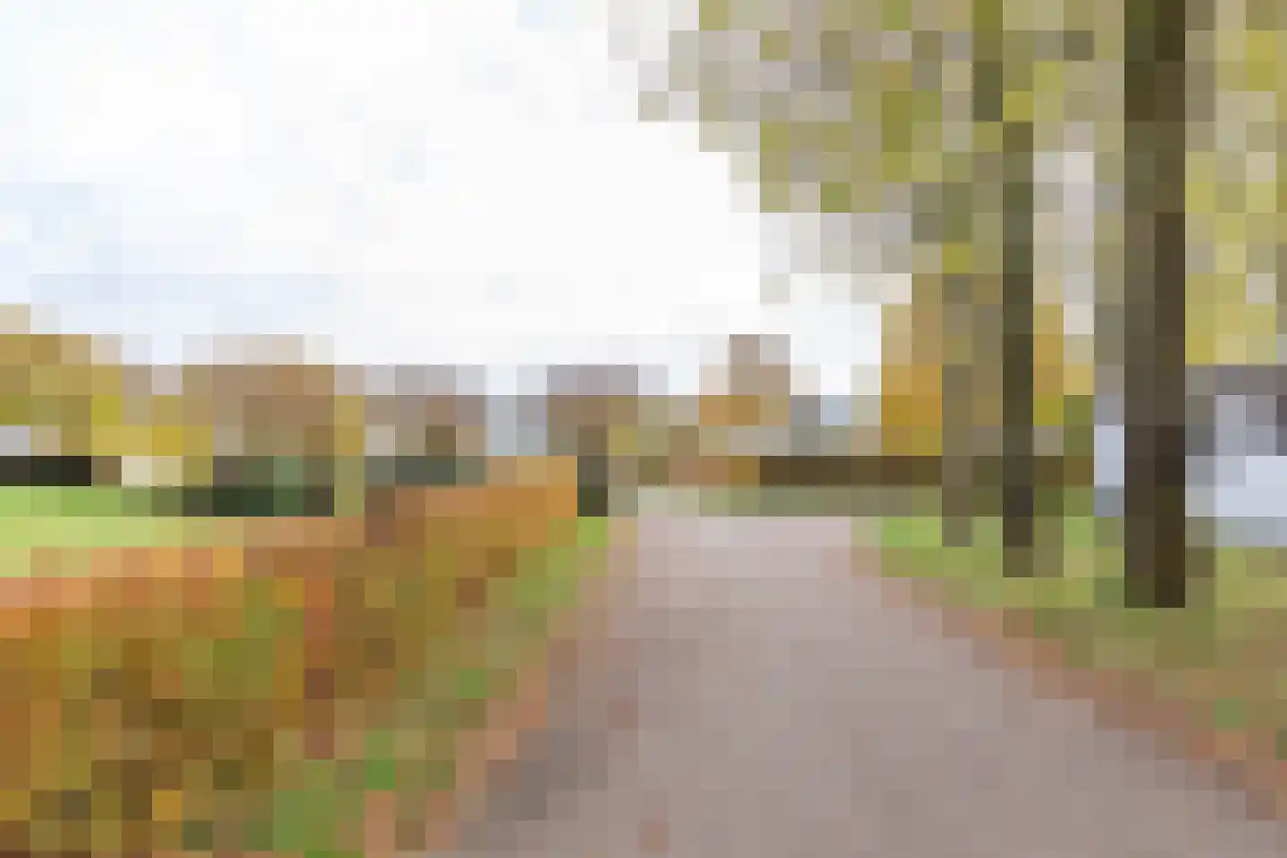 Rivierendal 28 Ochten thumbnail 42