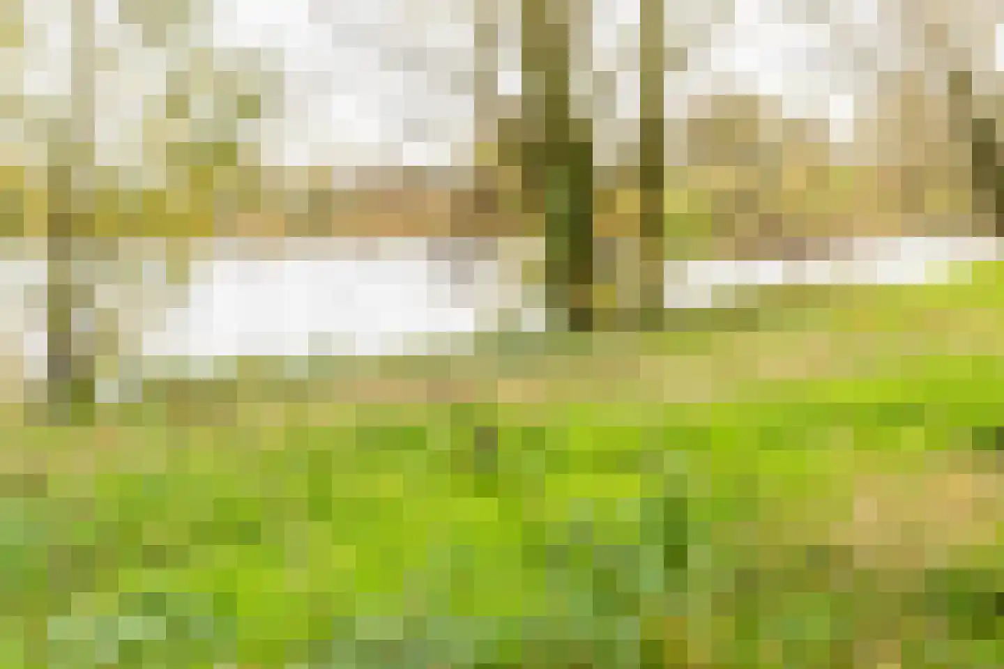 Rivierendal 28 Ochten thumbnail 44