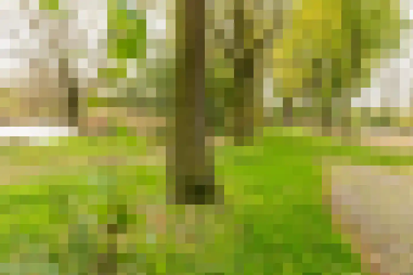 Rivierendal 28 Ochten thumbnail 45