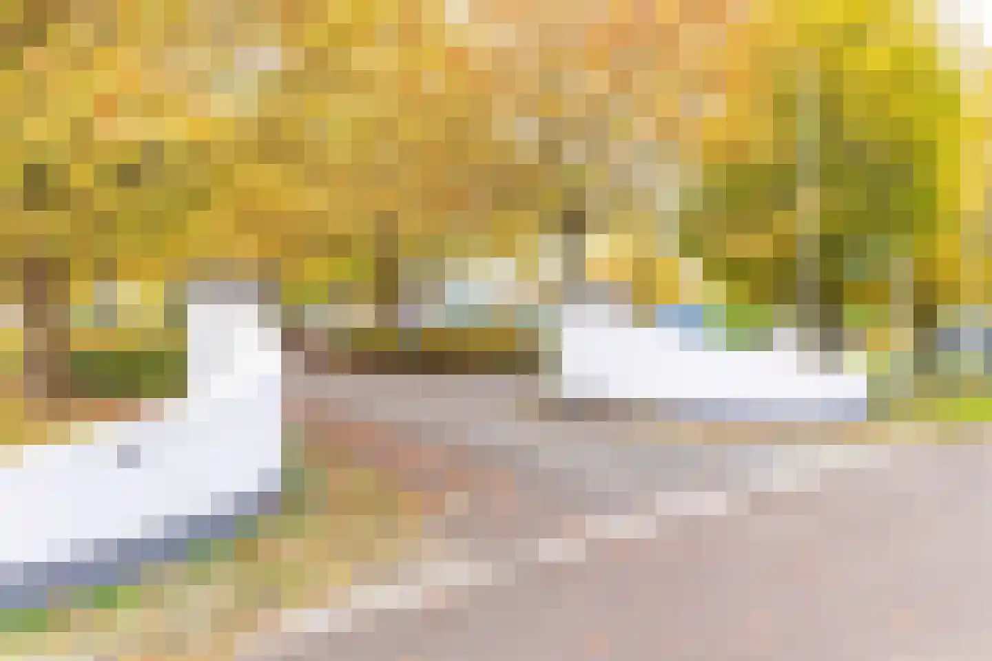 Rivierendal 28 Ochten thumbnail 56