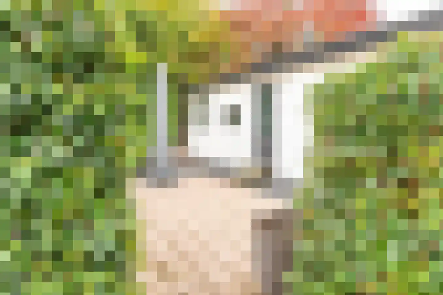 Rivierendal 28 Ochten thumbnail 7