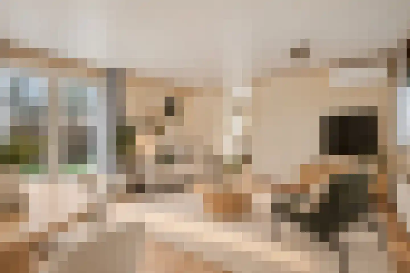 Rivierendal 29 Ochten thumbnail 15