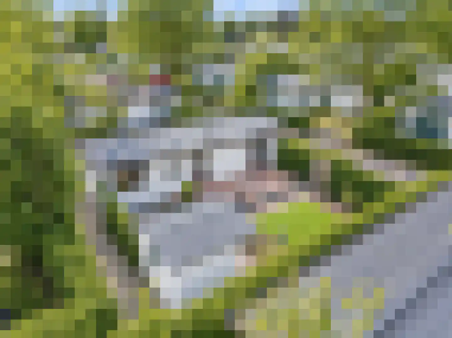 Rivierendal 29 Ochten thumbnail 5