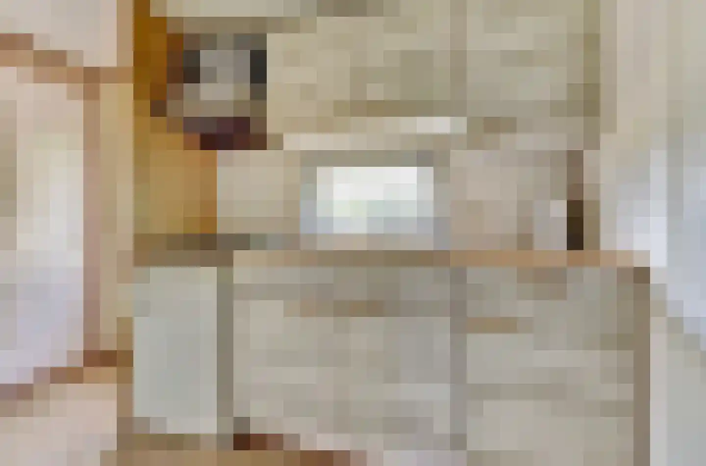 Rivierendal 30 Ochten thumbnail 12