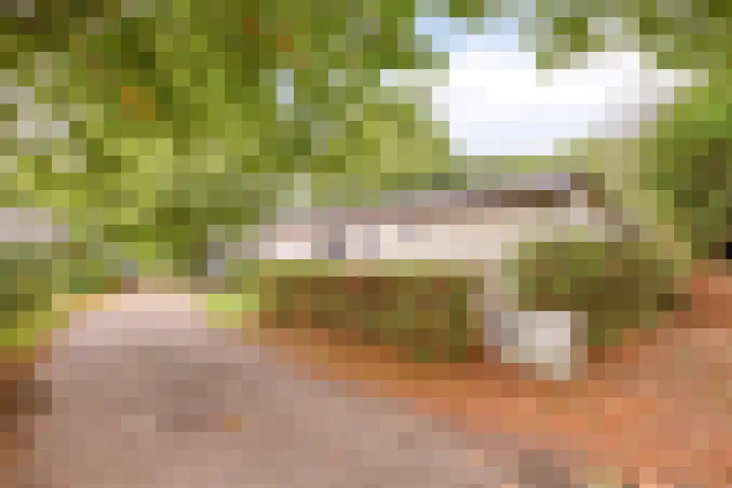 Rivierendal 33 Ochten thumbnail 13