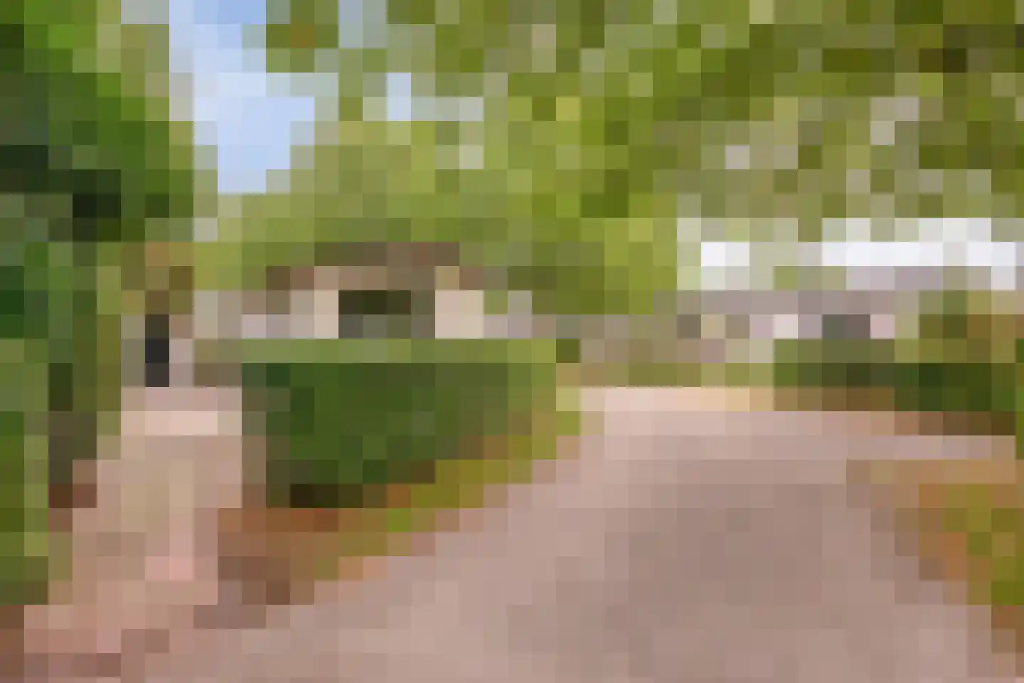 Rivierendal 33 Ochten thumbnail 14
