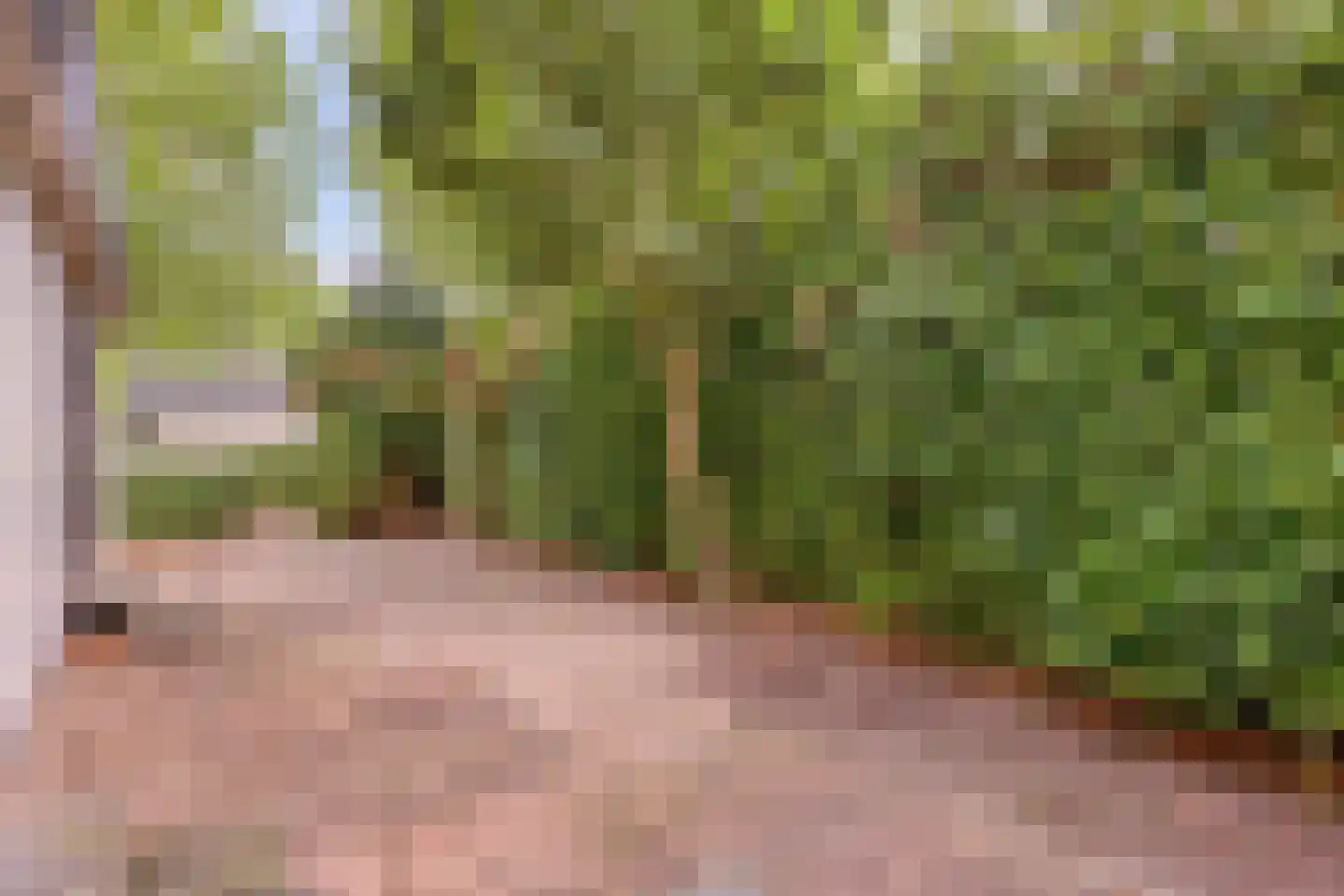 Rivierendal 33 Ochten thumbnail 16