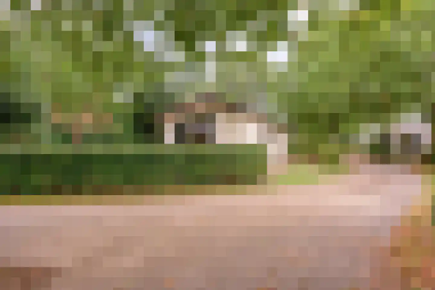 Rivierendal 33 Ochten thumbnail 9