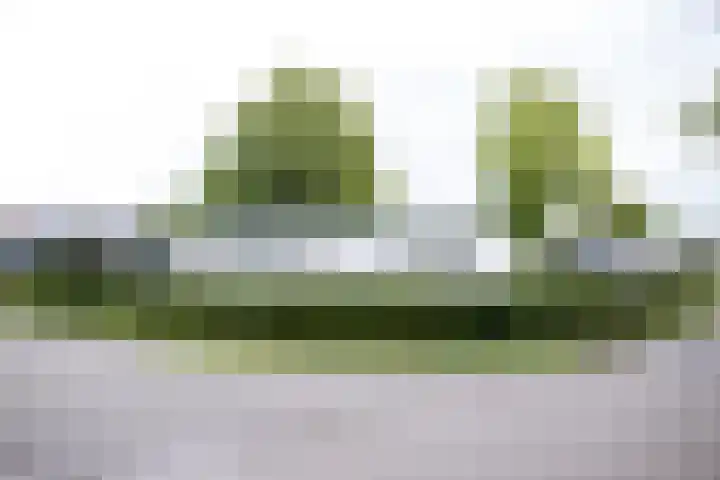 Rivierendal 46 Ochten thumbnail 14