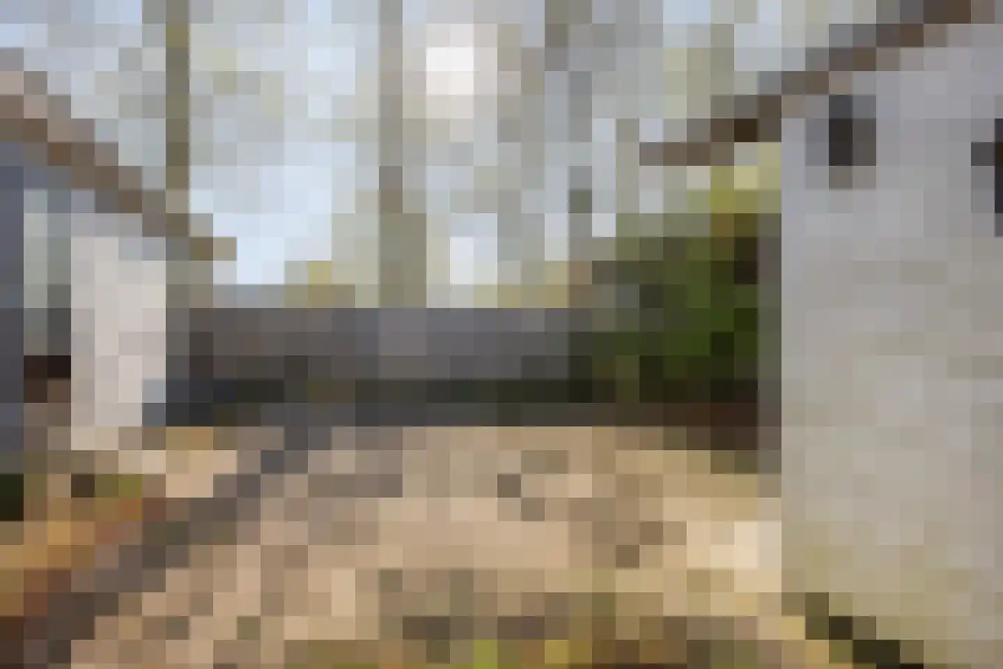 Rivierendal 51 Ochten thumbnail 17
