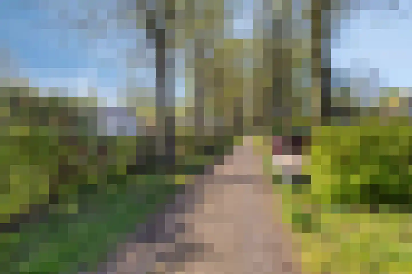 Rivierendal 51 Ochten thumbnail 18