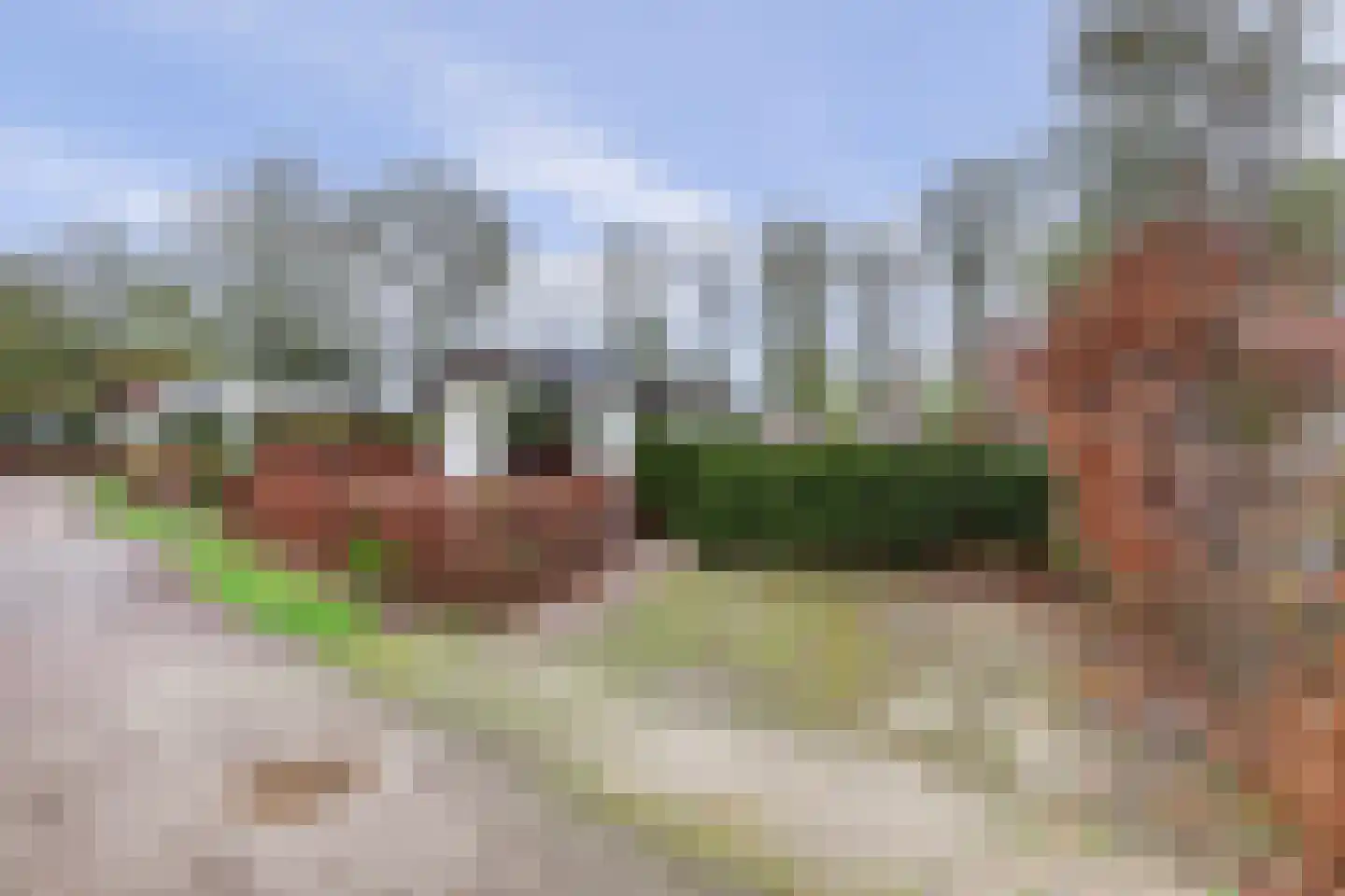 Rivierendal 52 Ochten thumbnail 31