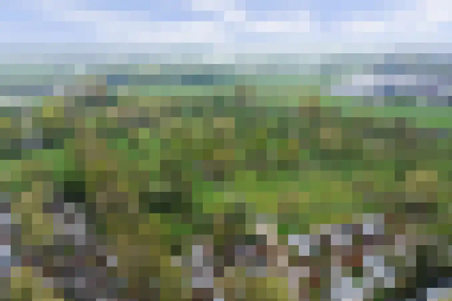 Rivierendal 52 Ochten thumbnail 38