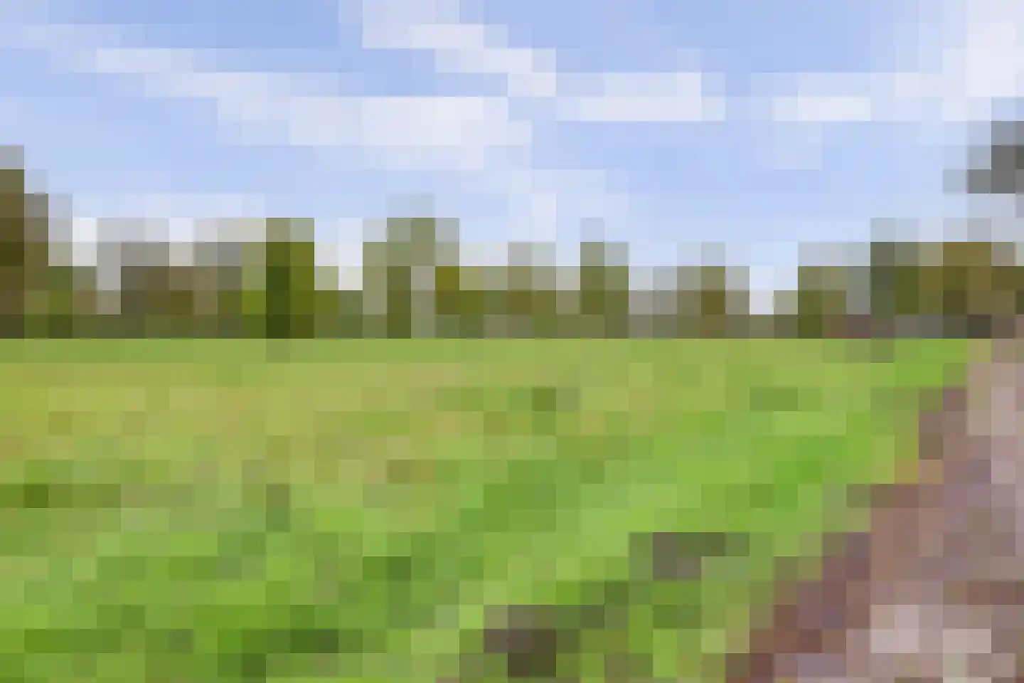 Rivierendal 52 Ochten thumbnail 41