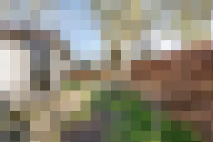 Rivierendal 56 Ochten thumbnail 16