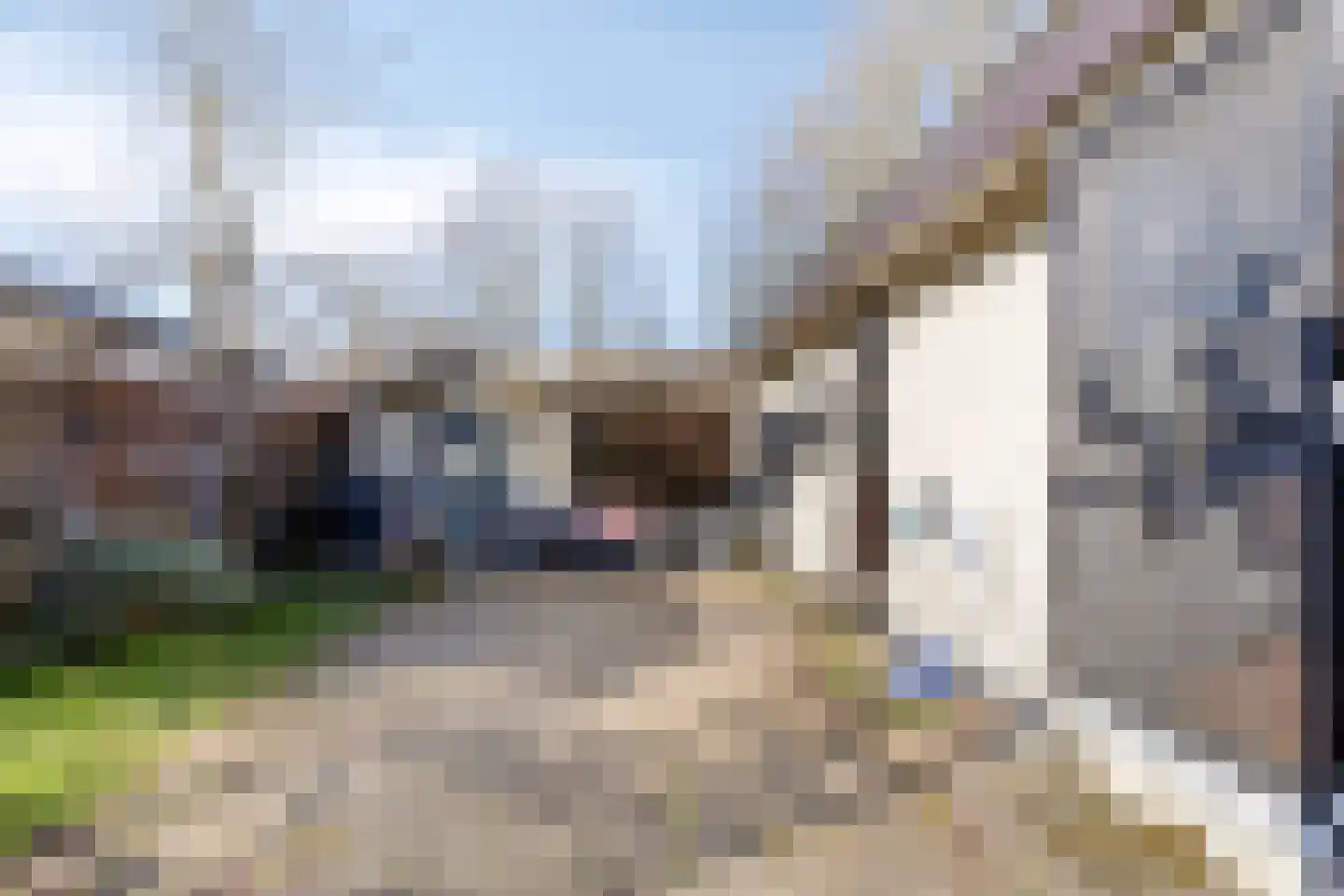 Rivierendal 56 Ochten thumbnail 17