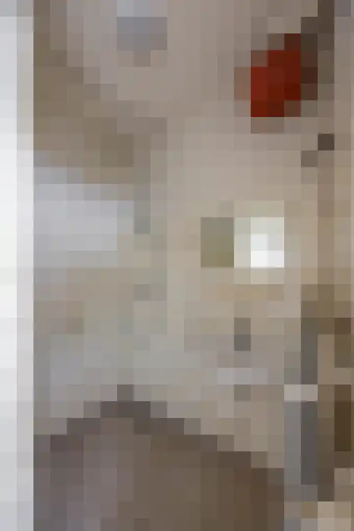 Rivierenhof 14 Groningen thumbnail 16