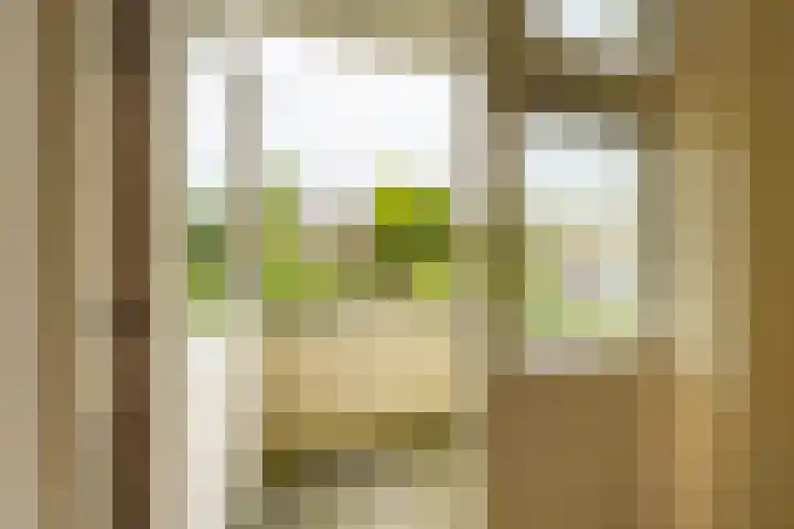 Rivierenhof 14 Groningen thumbnail 24