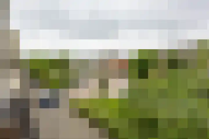 Rivierenhof 14 Groningen thumbnail 25