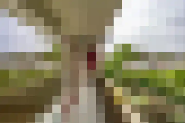 Rivierenhof 14 Groningen thumbnail 4