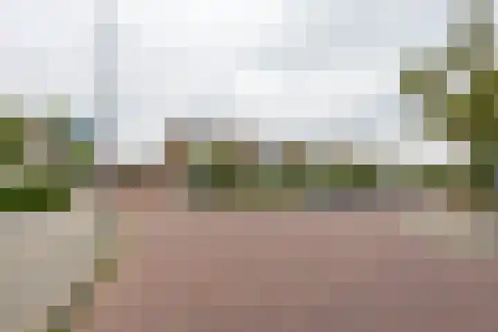 Rivierenhof 14 Groningen thumbnail 5