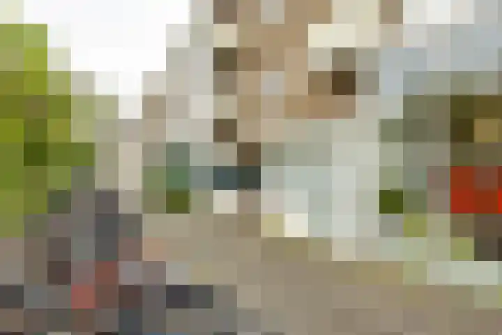 Rivierenhof 14 Groningen thumbnail 6