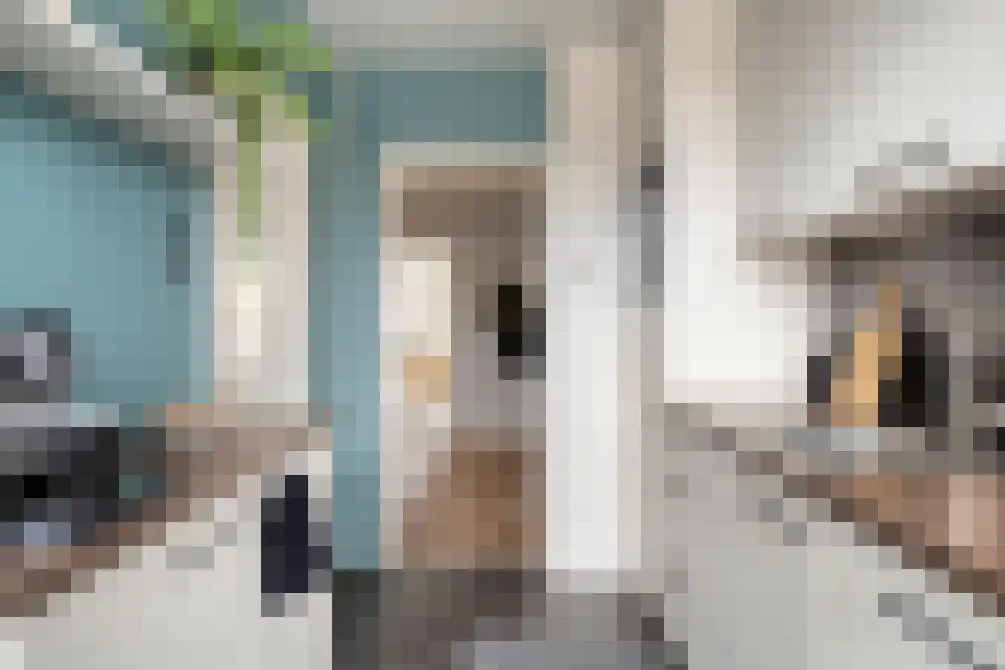 Rivierenhof 30 Groningen thumbnail 12
