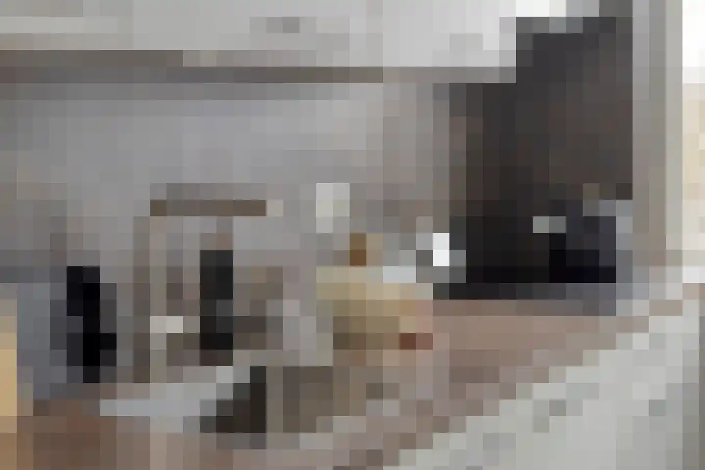 Rivierenhof 30 Groningen thumbnail 13