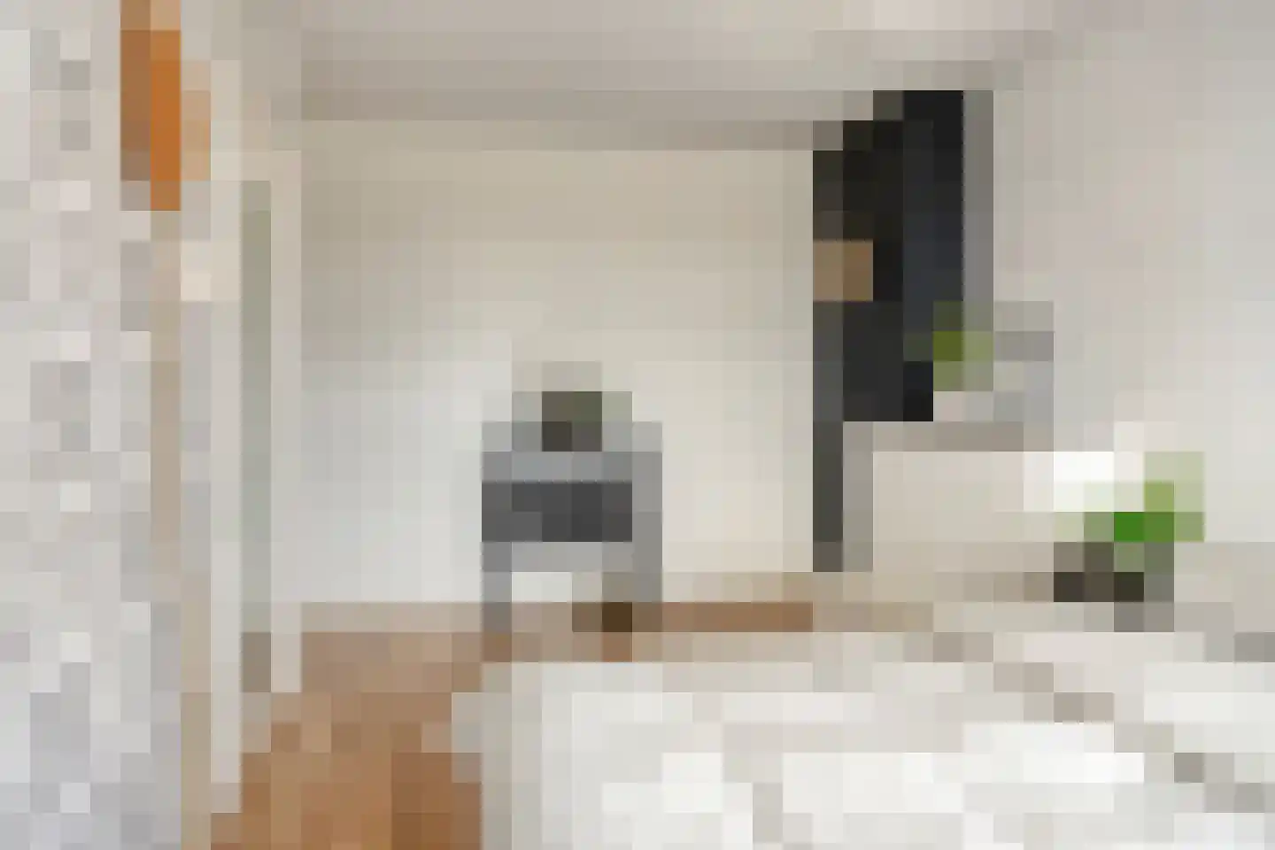 Rivierenhof 30 Groningen thumbnail 19
