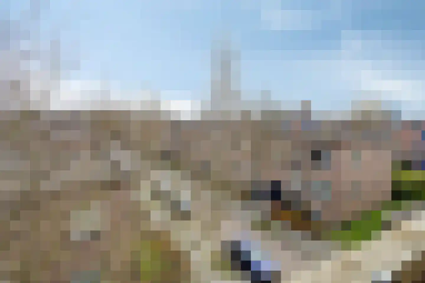 Rivierenhof 30 Groningen thumbnail 22