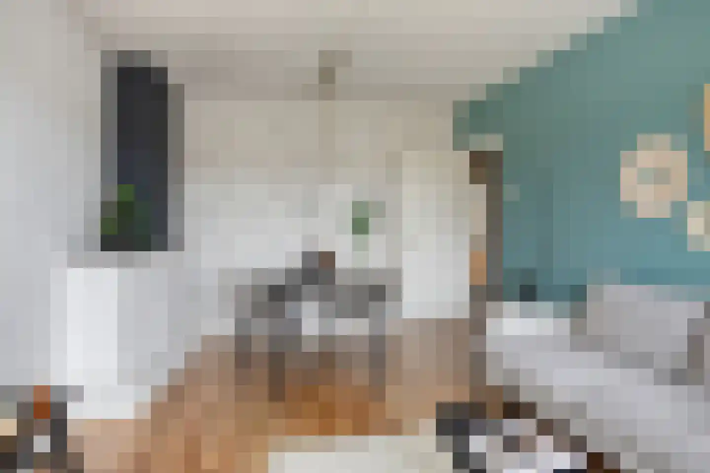 Rivierenhof 30 Groningen thumbnail 7