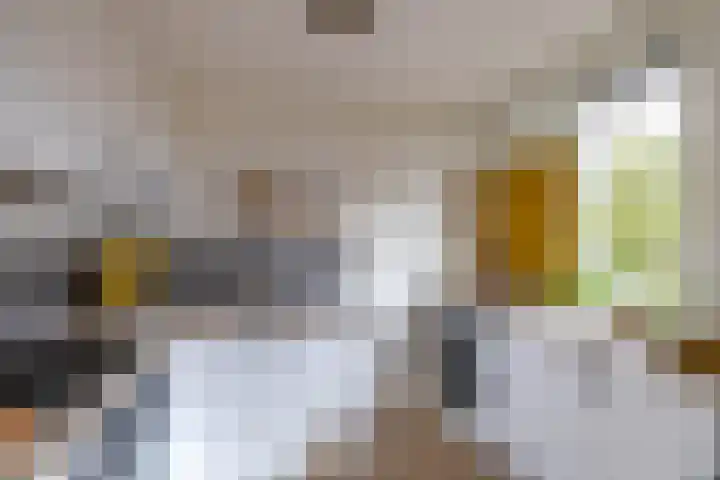 Rivierenhof 32 Groningen thumbnail 18